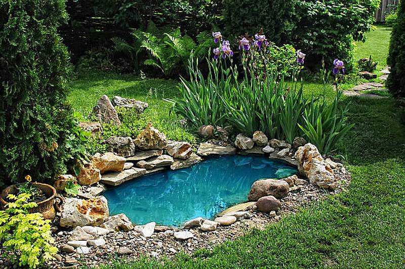Garden pond with natural stone edging and iris planting, Waterkloof