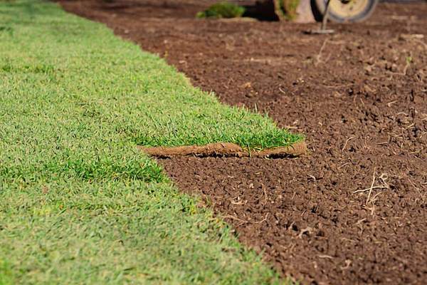 Instant Lawn Installation & Lawn Care Centurion
