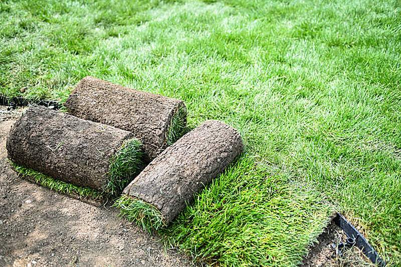 Instant turf rolls ready to lay on prepared soil, Centurion