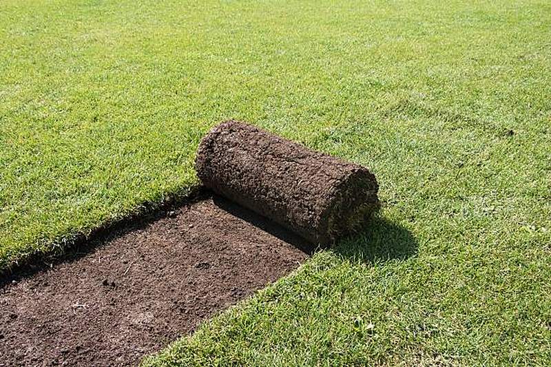 Turf roll being laid on levelled soil beside an established lawn, Midstream Estate