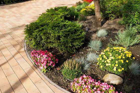 Flower beds and conifers beside curved brick paving, Faerie Glen