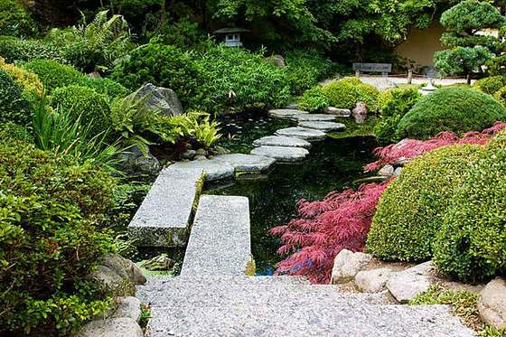 Japanese-style garden pond with stepping stones and red maple, Moreleta Park