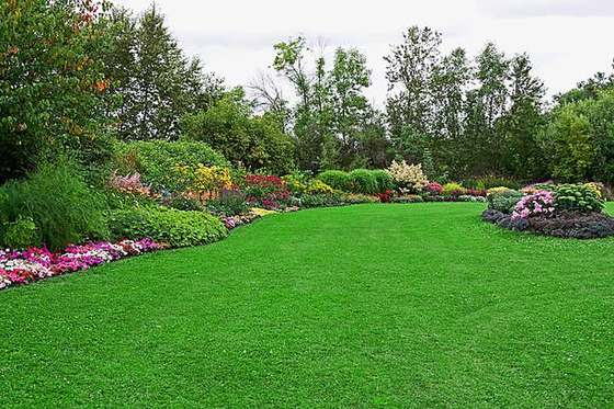 Lawn and flower bed landscape design, Pretoria East