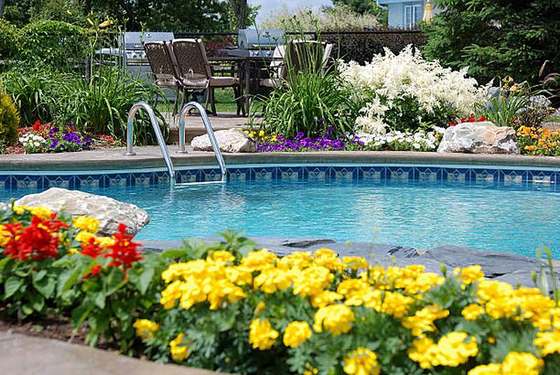 Pool with steel ladder, stone edging and flower beds, Pretoria East