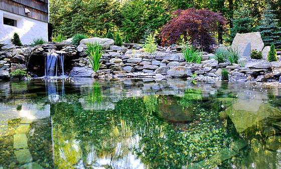 Large reflecting pond with stone waterfall and planting, Pretoria East