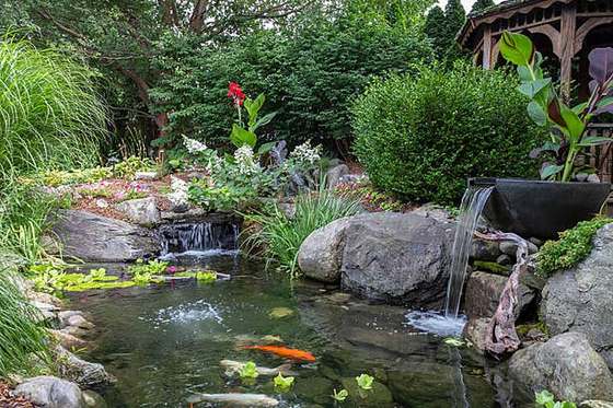 Koi pond with stone waterfalls and flower beds, Lynnwood