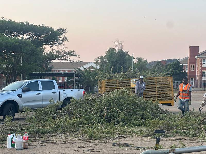Cut branches cleared into a trailer after tree trimming, Centurion