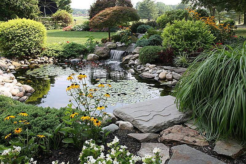 Garden pond with lily pads, stone waterfall and planting, Waterkloof